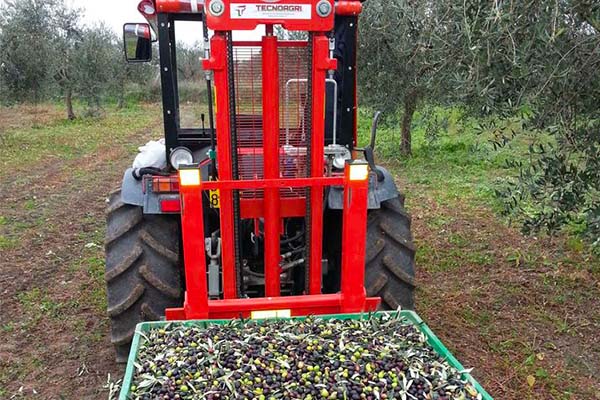 Tecnoagri Eco Elevator Feature 2