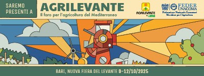 Home Banner MS 400x150 ITA