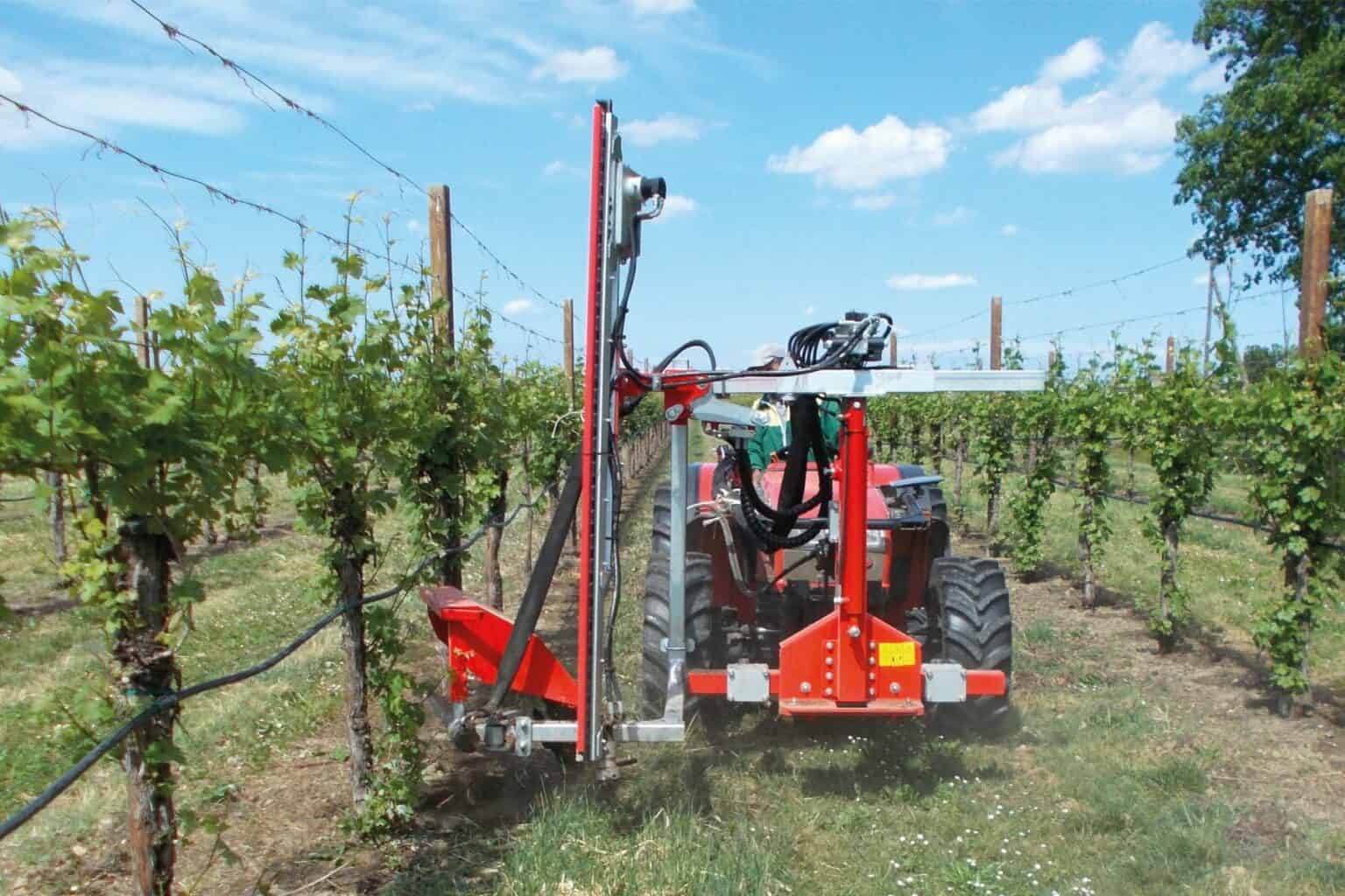 Cimatrice CF Singola - Foto sul campo