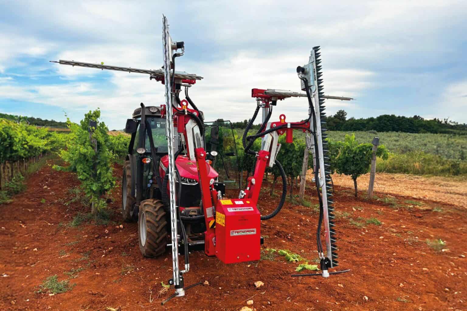 Cimatrice doppia CM - Foto sul campo 2