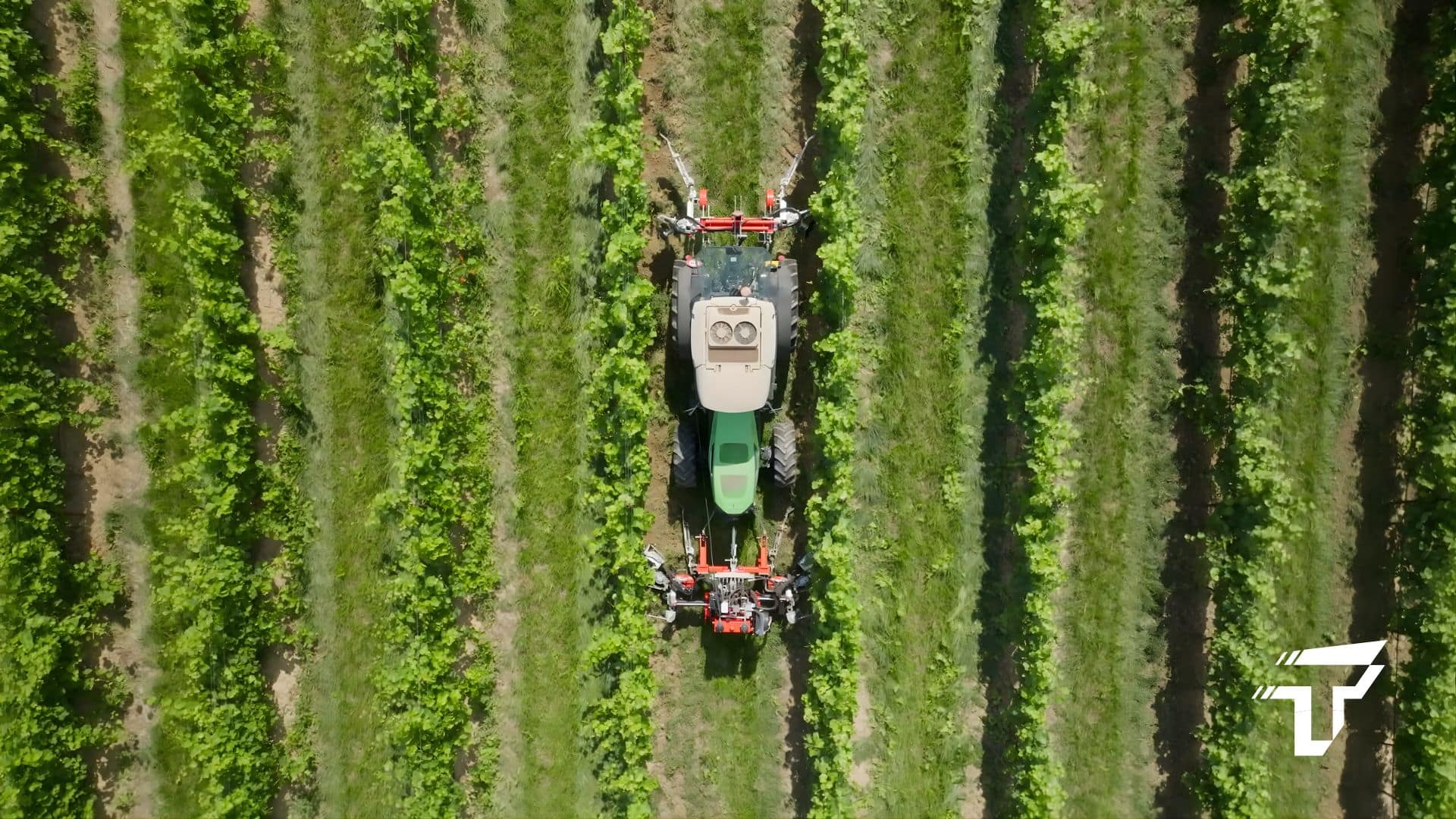 La lavorazione dell'interfila tramite interceppi Tecnoagri, foto dall'alto