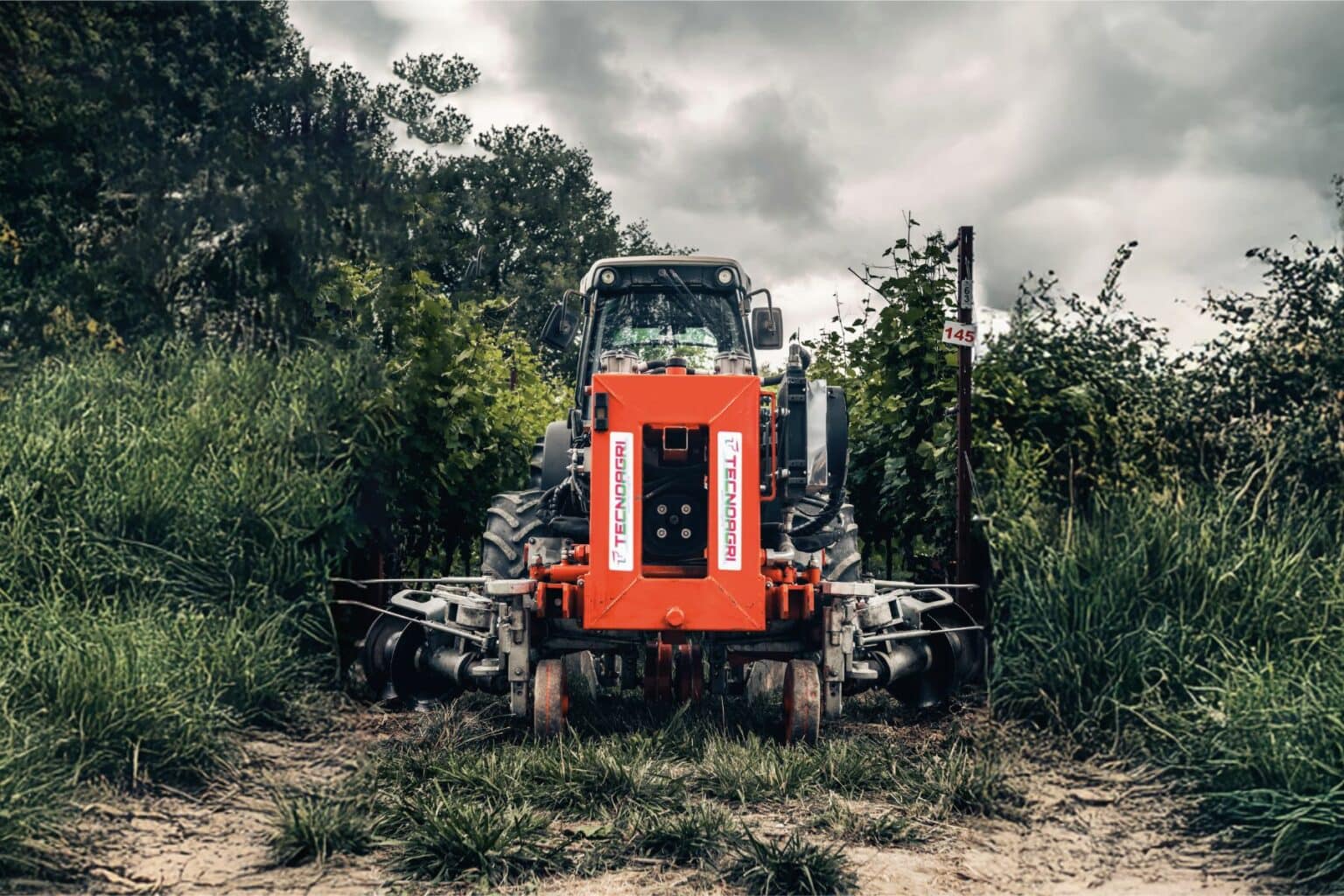 Interceppo 310d sul campo